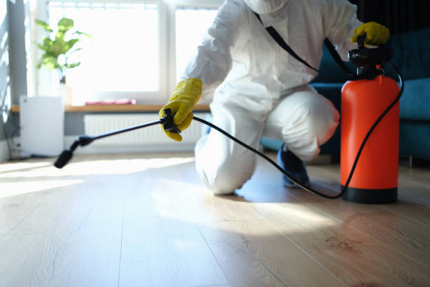 Reliable Biohazard Cleanup contractor in Osteen, FL by Trauma Clean Pros